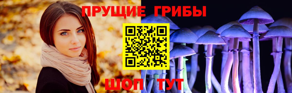 Галлюциногенные грибы ЛСД  Вход с VPN  Псилоцибиновые грибы мухоморы  Ставрополь 